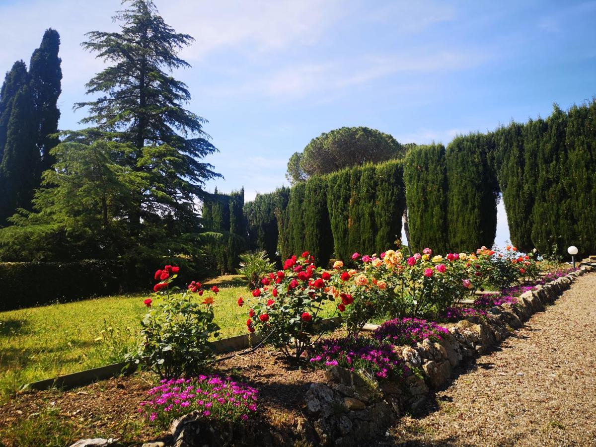 Villa Bellaria Campagnatico Exteriör bild