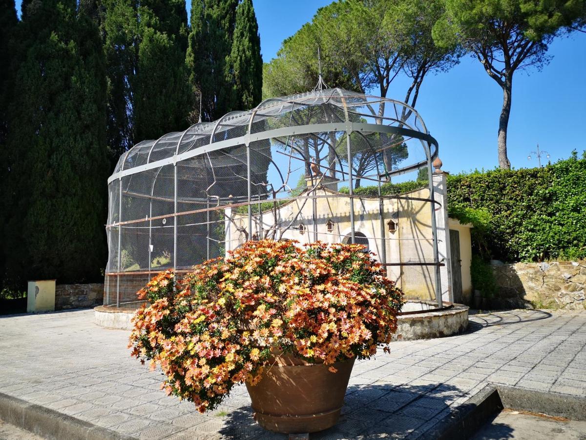 Villa Bellaria Campagnatico Exteriör bild